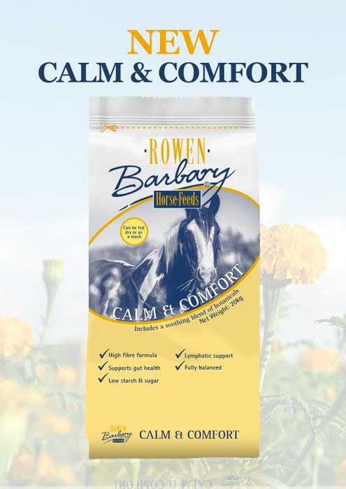 Calm & Comfort 