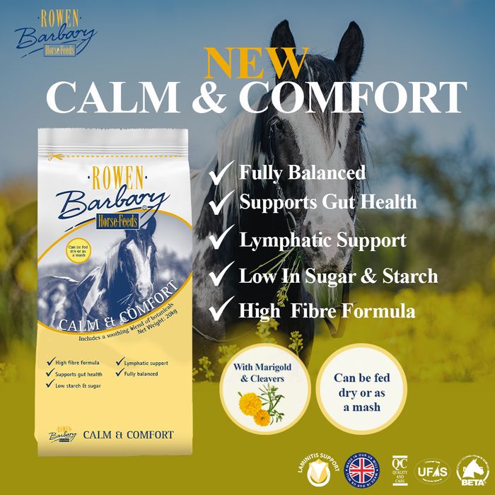 Calm & Comfort 