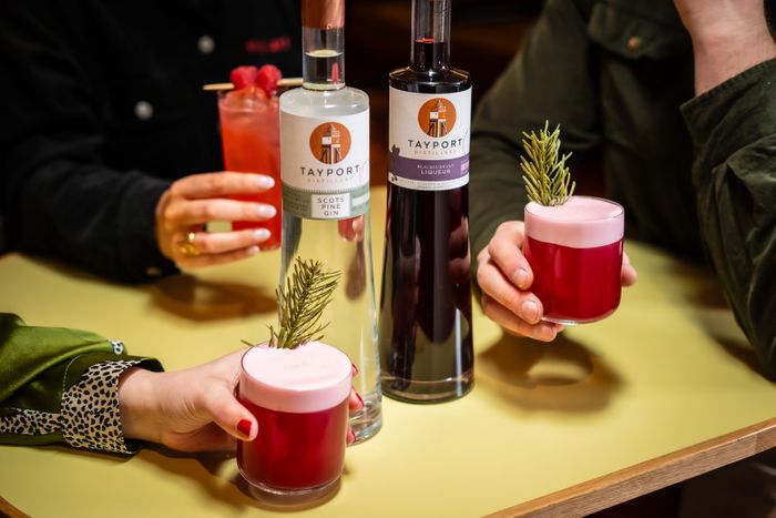 Tayport Distillery Scots Pine Gin