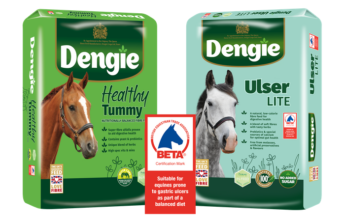 Dengie Alfa-A Range