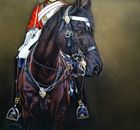 Cavalry Horses 