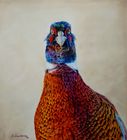 Wildlife 