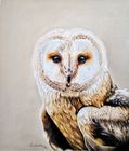 Wildlife 