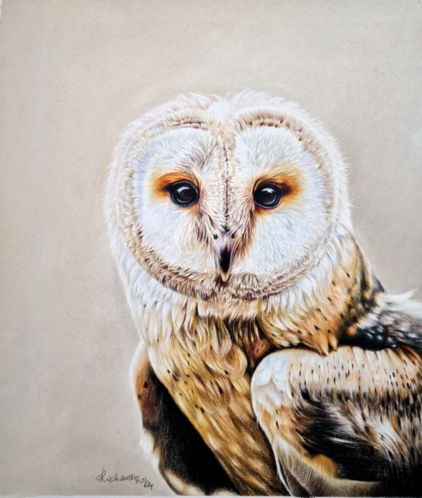 Wildlife 