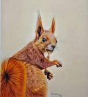 Wildlife 