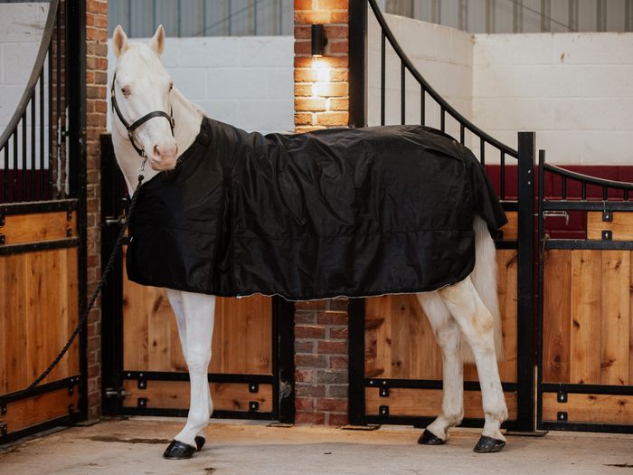 Cirra Combi 50 Rug  