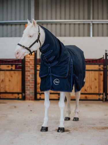 Cirra Combi 50 Rug  