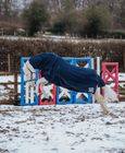Cirra Combi 50 Rug  