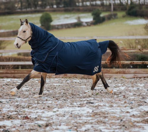 Cirra Combi 200 Rug 