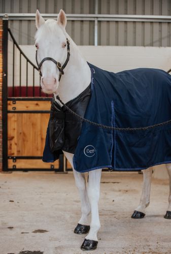 Cirra 50 Rug