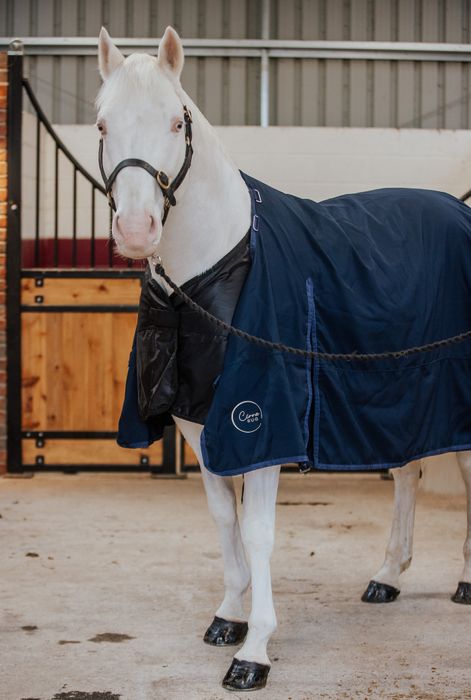 Cirra 50 Rug