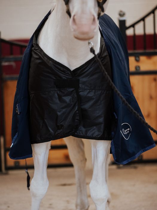 Cirra 200 Rug