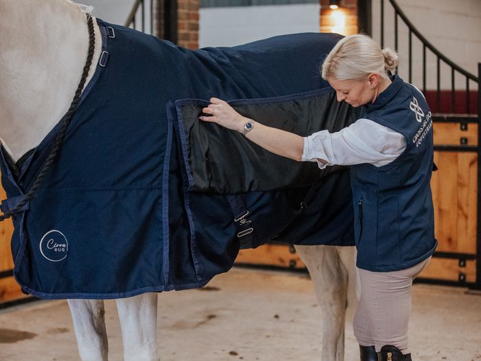 Cirra 200 Rug