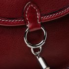 Aryanna Burgundy saddle bag 