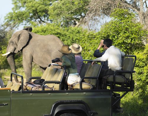 Ten day Safari - South Africa