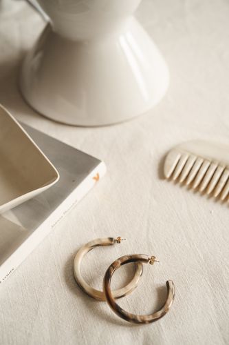 Horn Hoop Earrings