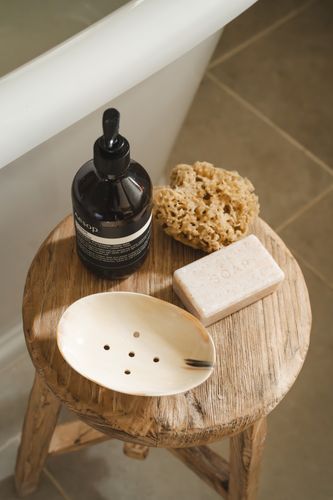Horn Soap Dish
