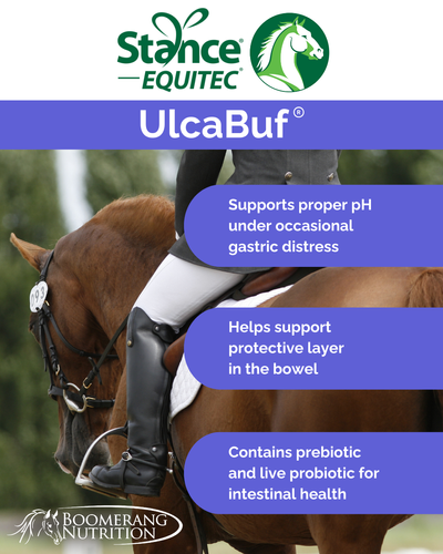 UlcaBuf