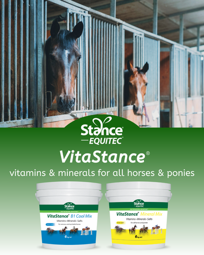 VitaStance Mineral Mix