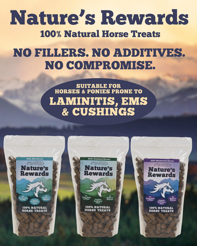 Nature's Rewards 100% Natural Horse Treats