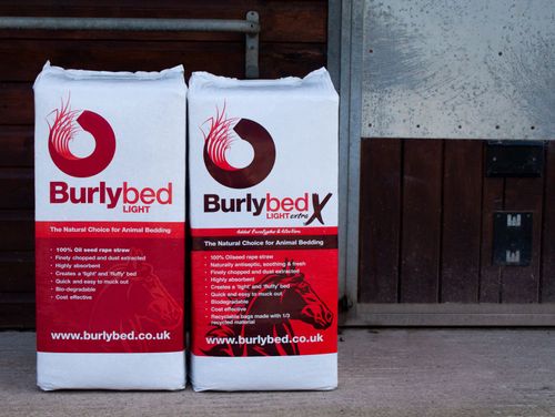 Burlybed Light & Light Extra