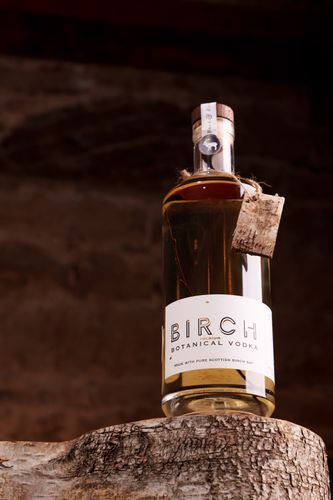 Birch