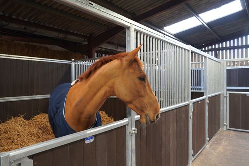 IAE Equestrian Stabling