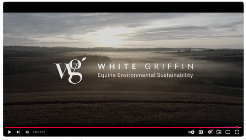 White Griffin