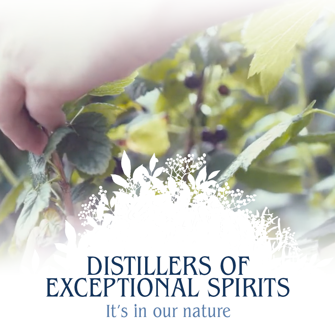 Dunnet Bay Distillers Ltd / Rock Rose Gin