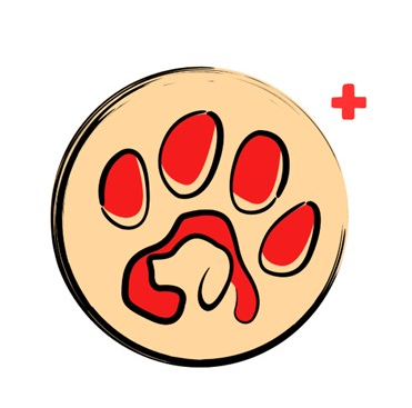 Daktari