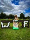 Feedwell Sport