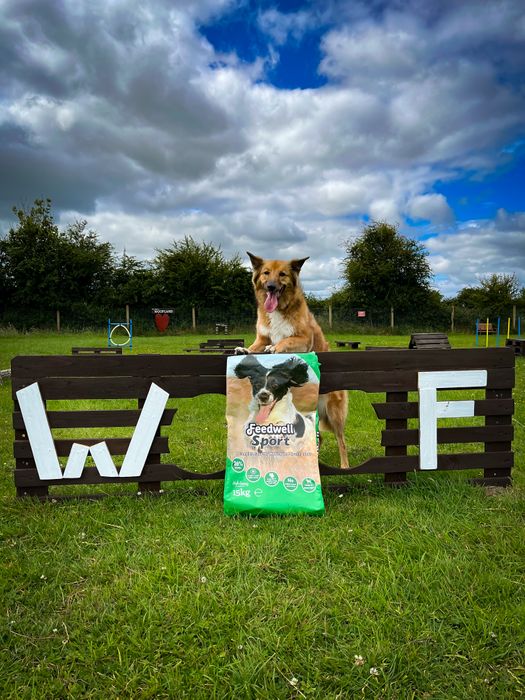 Feedwell Sport
