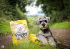 Feedwell Puppy