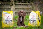 Feedwell Puppy