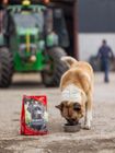 Feedwell Maintenance