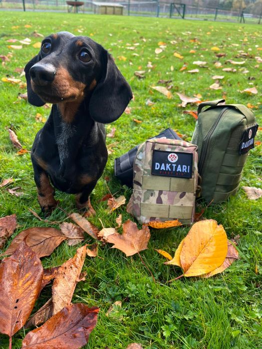 Daktari first aid kit - Mini