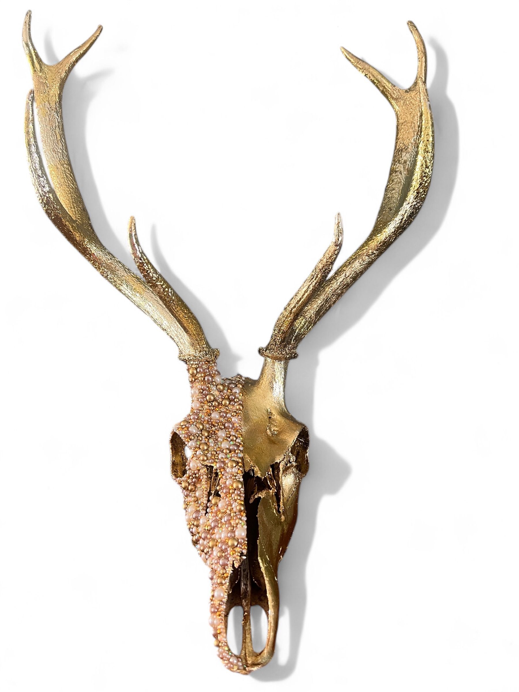 Sage and Stag Oddities