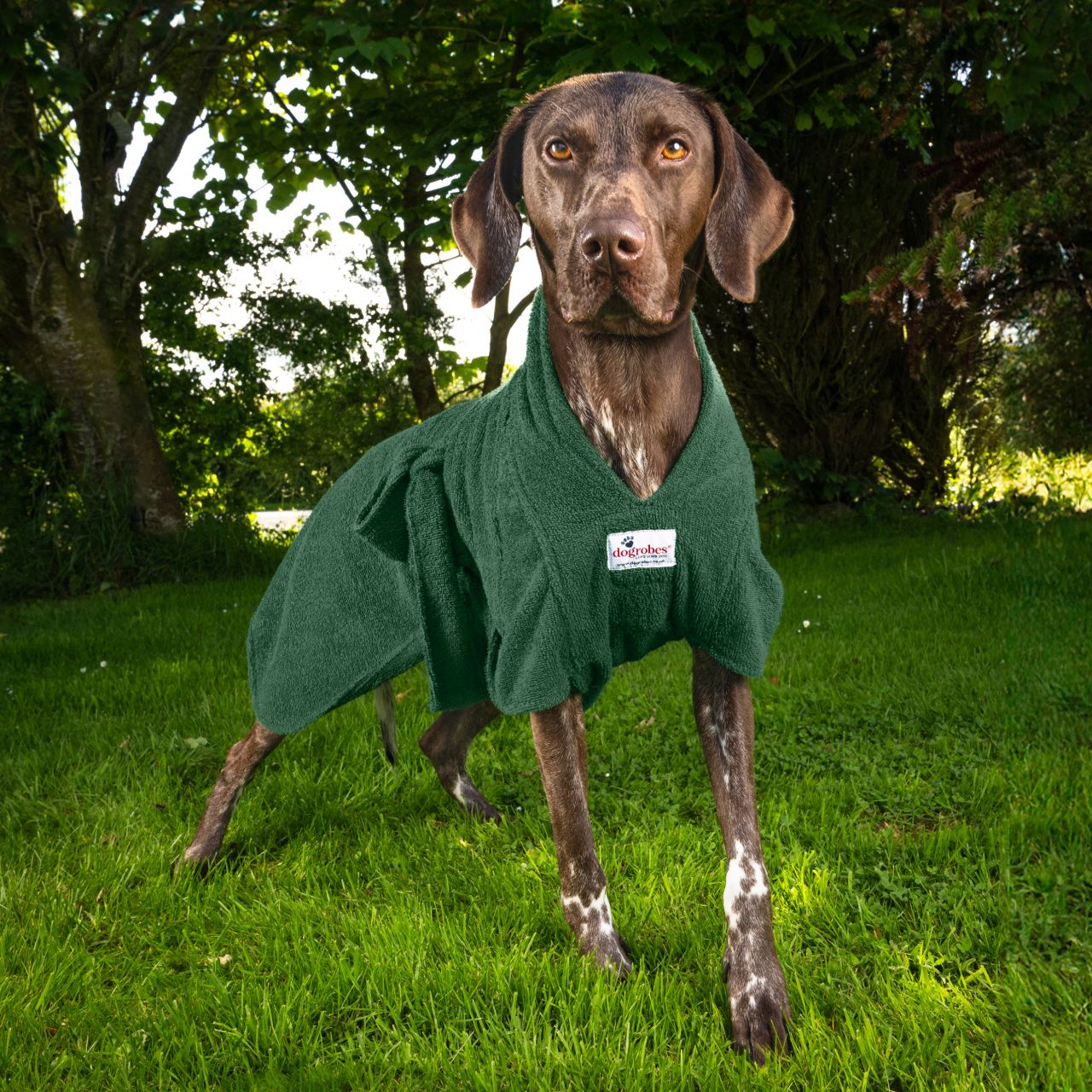 Dogrobes Ltd
