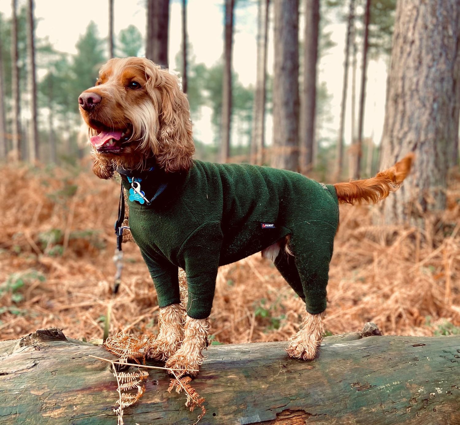 Equafleece Limited
