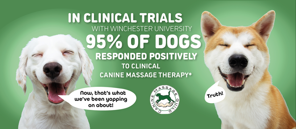 Canine Massage Guild