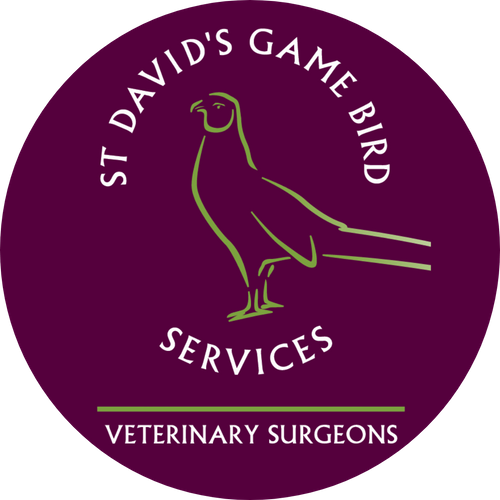 St Davids Gamebirds