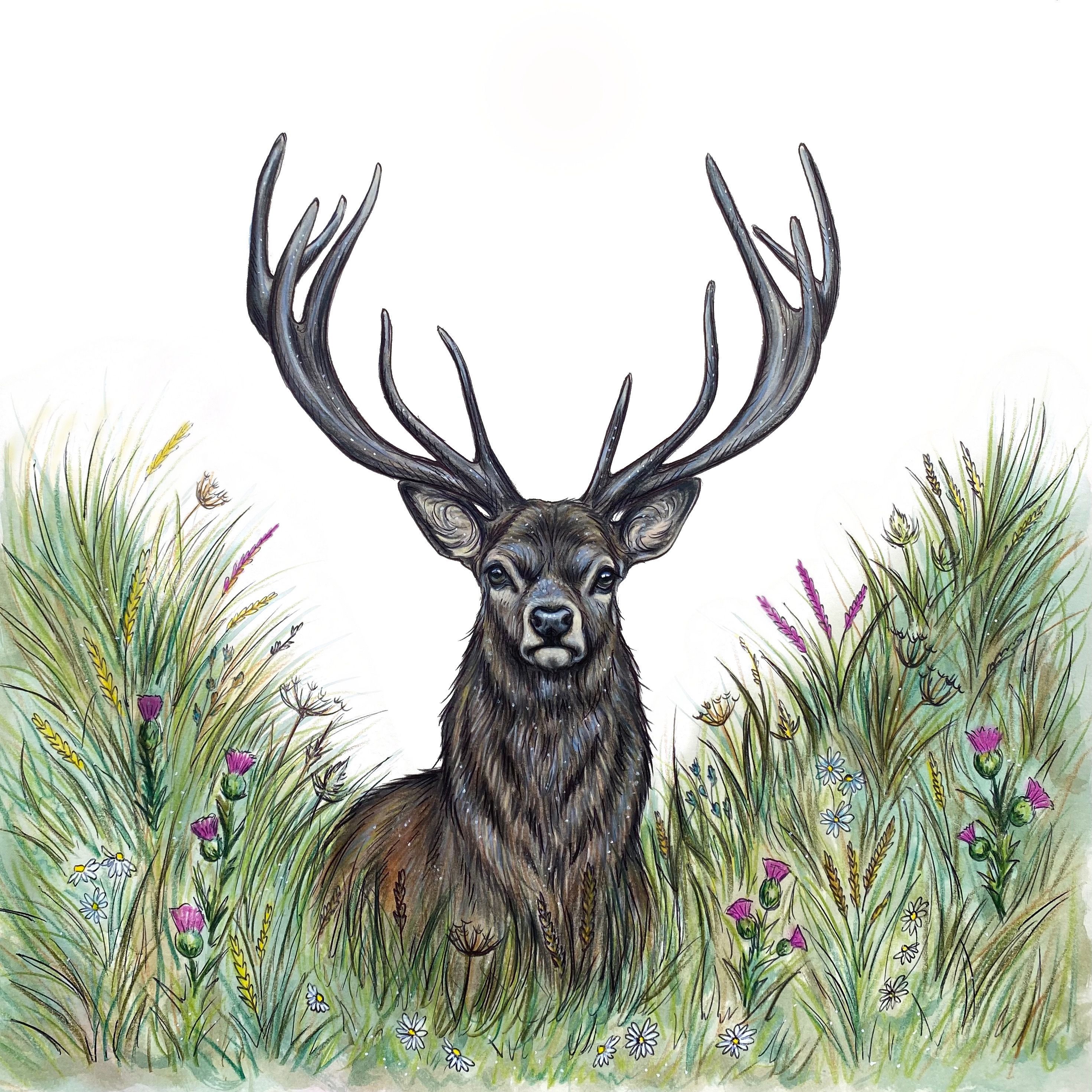 Silvia Whiteley Art