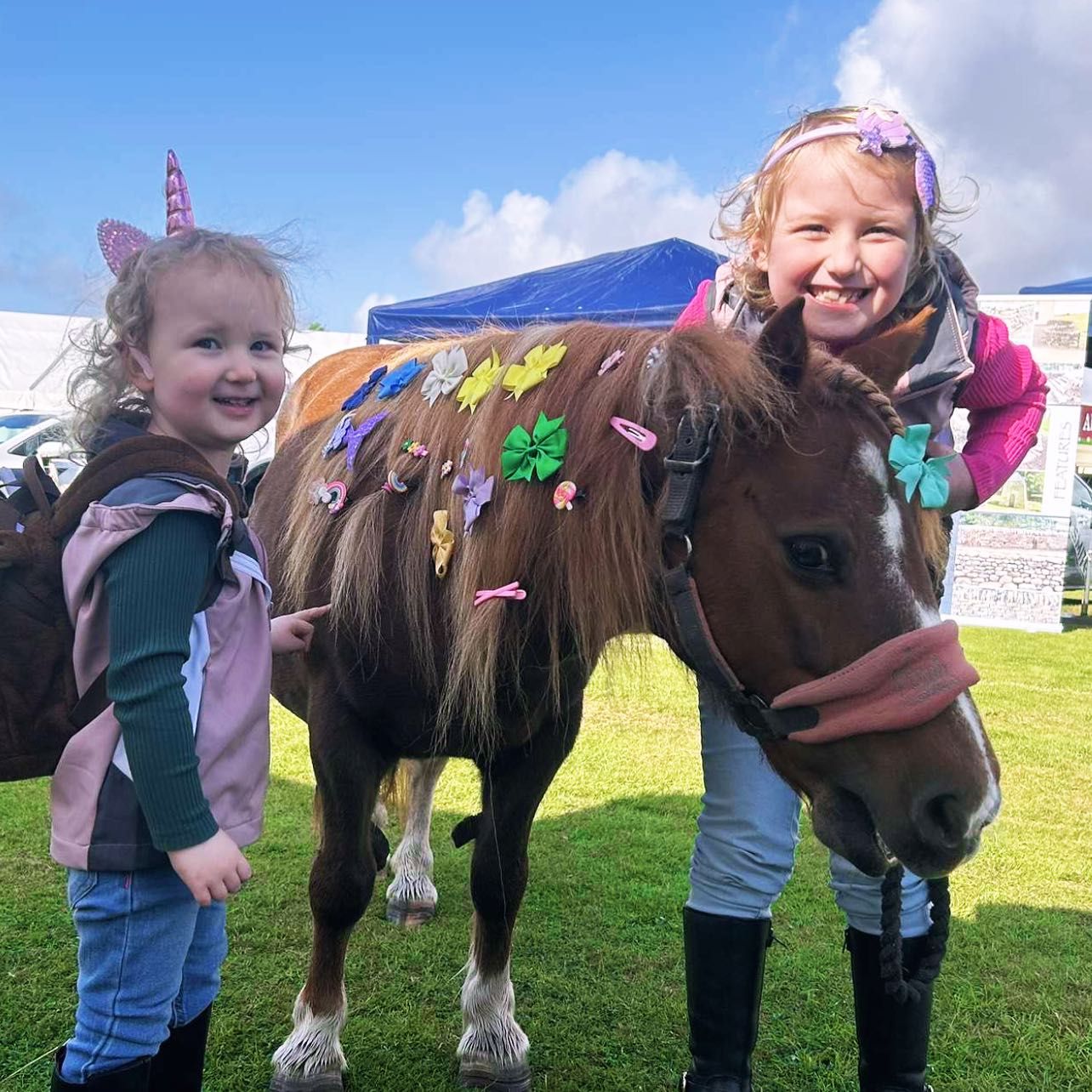 Alba Therapy Ponies