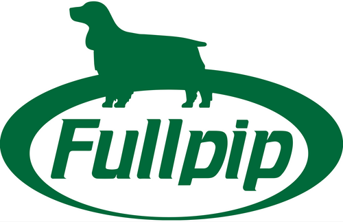 Fullpip Ltd