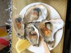 Award winning Oysters / Wines / PImms & Aperol