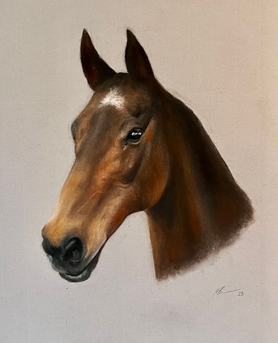 Horse Commissions