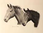 Horse Commissions