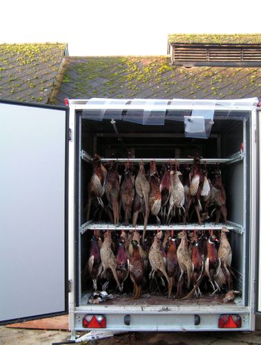 Carcass and Butchery trailers