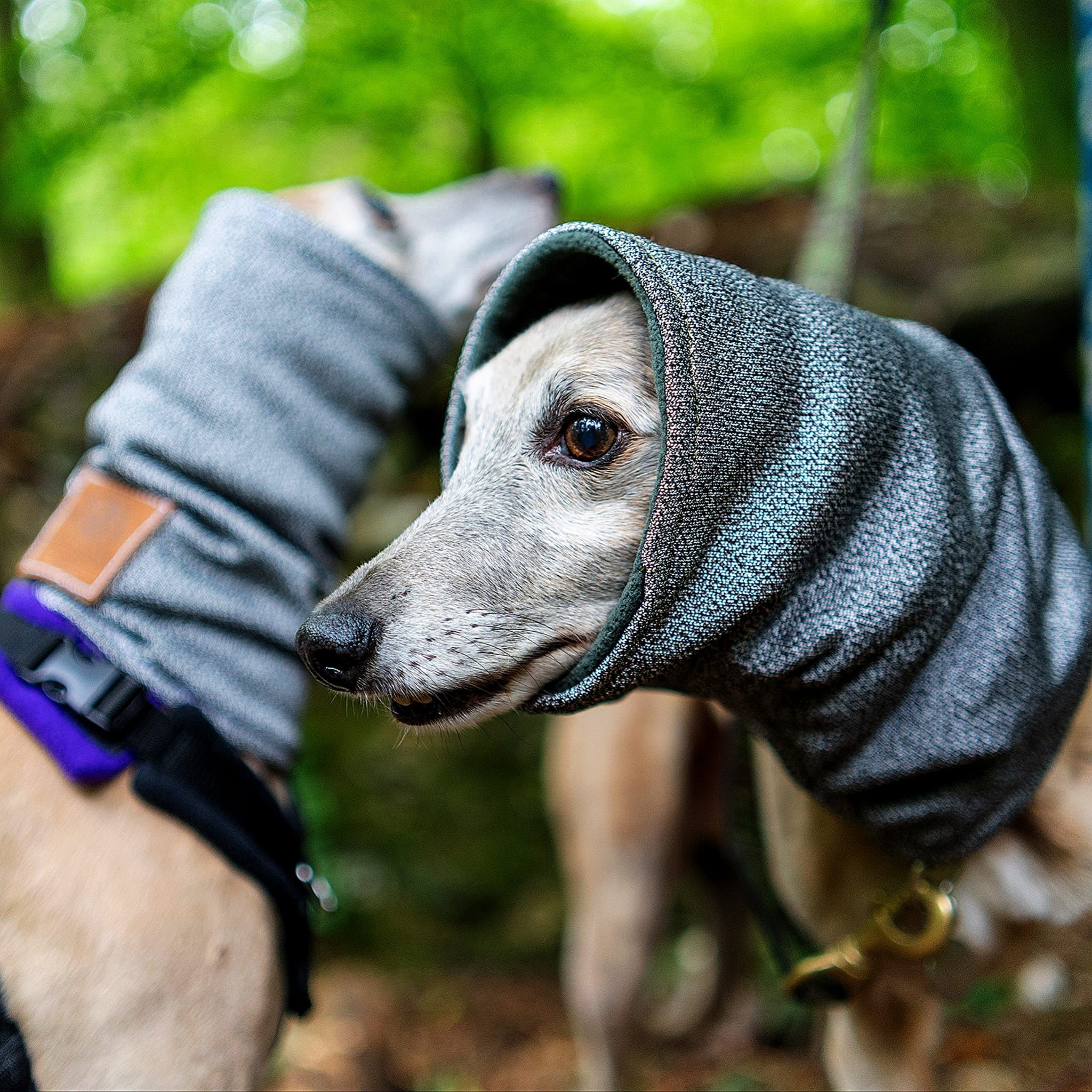 Hound Snood