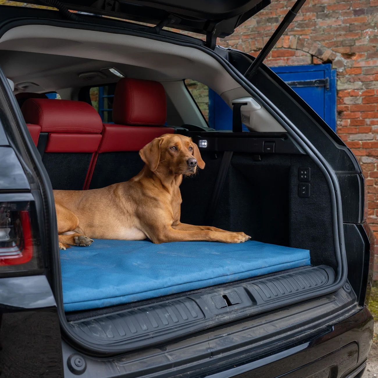 Crate Mat / Boot Bed